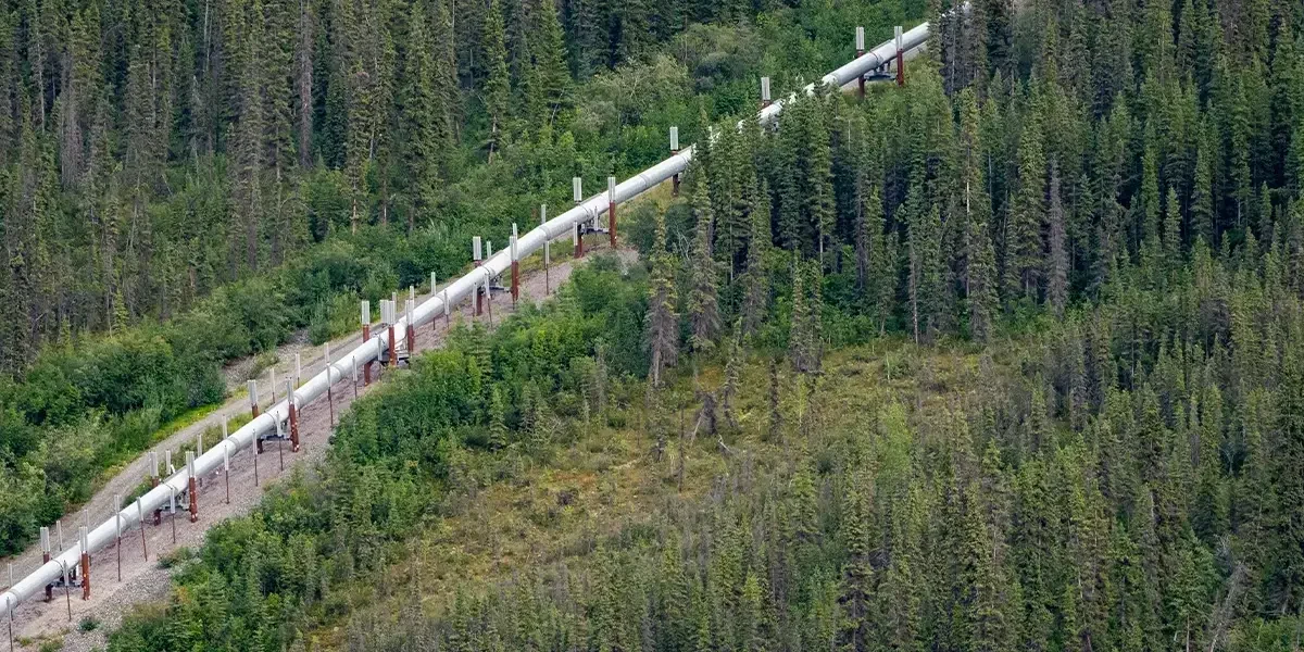 Pipeline Management