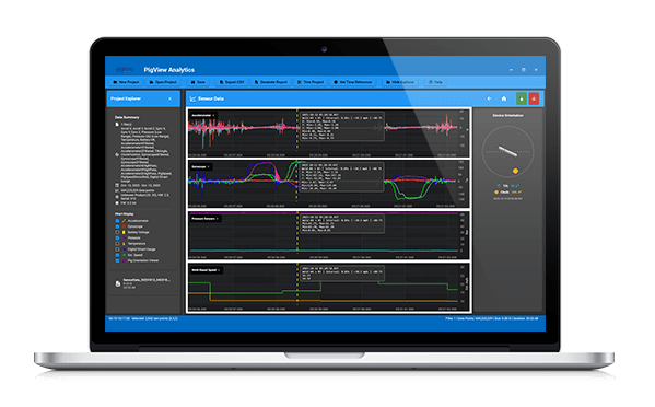 pigview analytics software on laptop