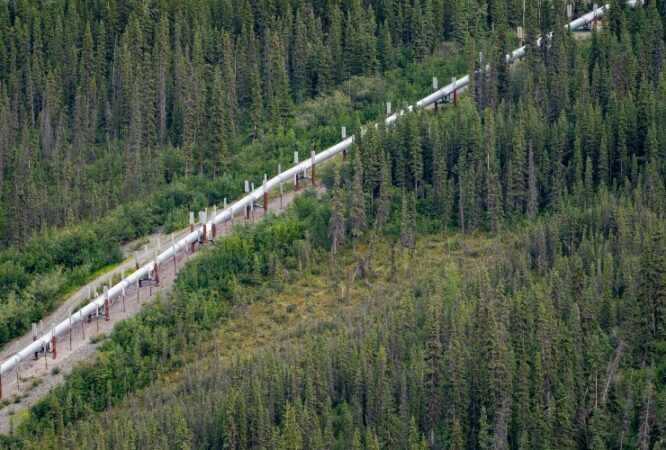 Pipeline integrity management