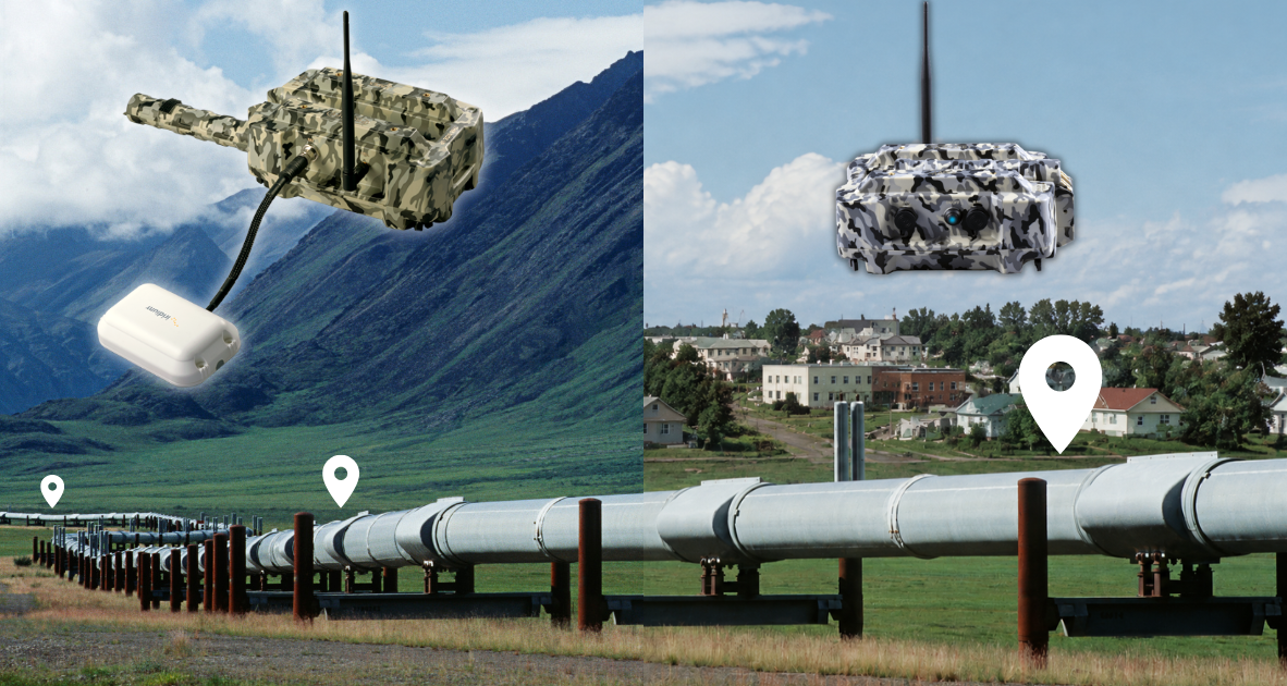 : Satellite Pig Tracking in Mountain Terrain