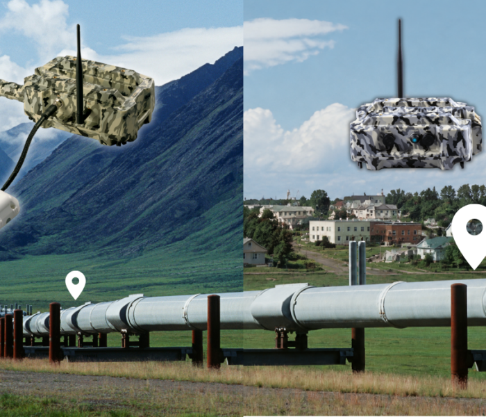 : Satellite Pig Tracking in Mountain Terrain