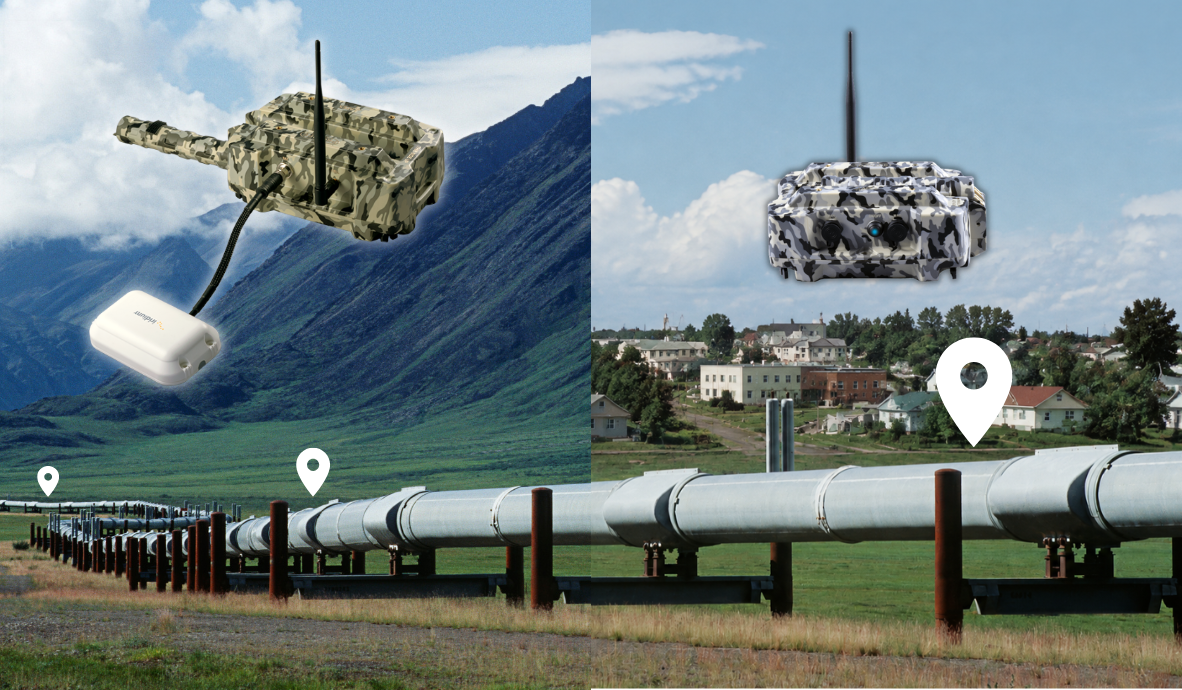 : Satellite Pig Tracking in Mountain Terrain